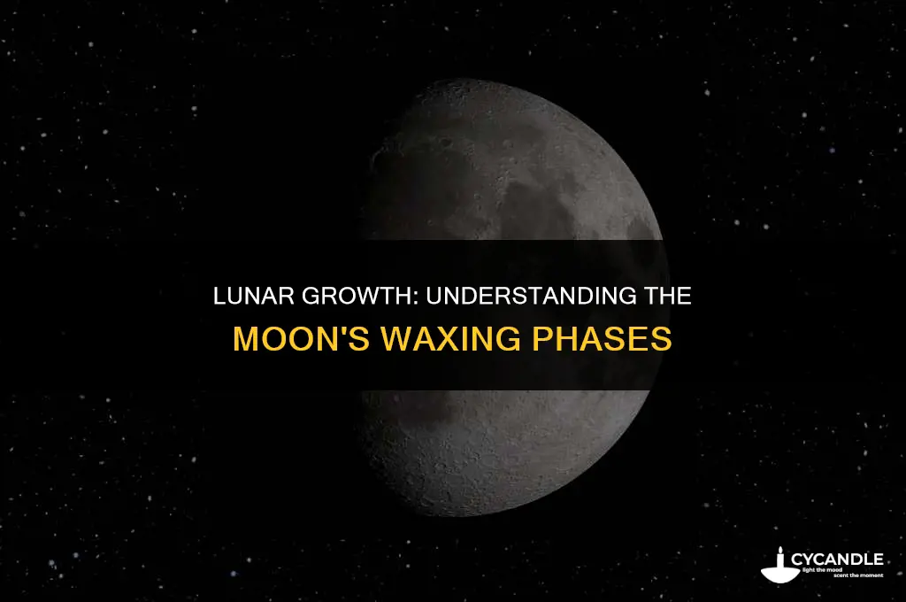 when the moon waxes it
