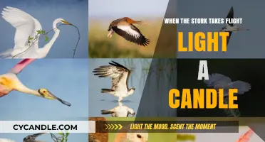 When the Stork Takes Flight: Lighting Candles for Hope and New Beginnings