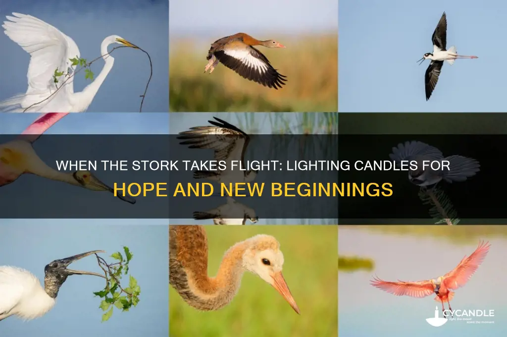 when the stork takes flight light a candle