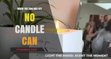 When the Sun Sets, No Candle Can Replace Its Light