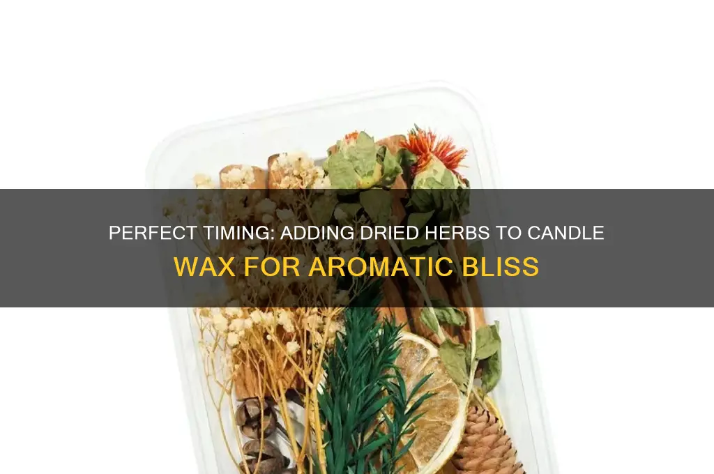 when to add dried herbs to candle wax
