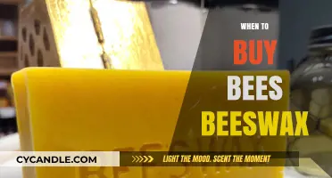 Best Time to Buy Beeswax: Tips for Quality and Value