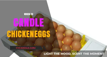 Candling Chicken Eggs: The Optimal Timing Revealed