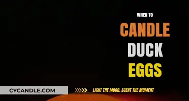 Candling Duck Eggs: The Perfect Timing