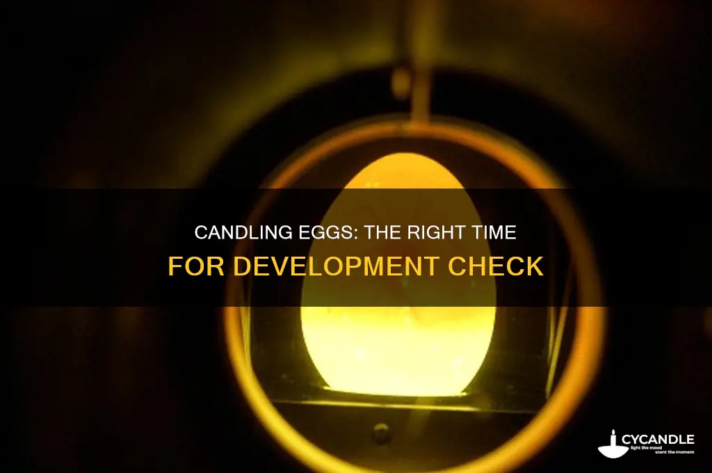 when to candle eggs for development