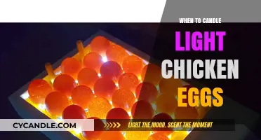 Candling Chicken Eggs: Timing Tips for Hatching Healthy Chicks