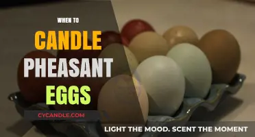 Candling Pheasant Eggs: The Perfect Timing Guide