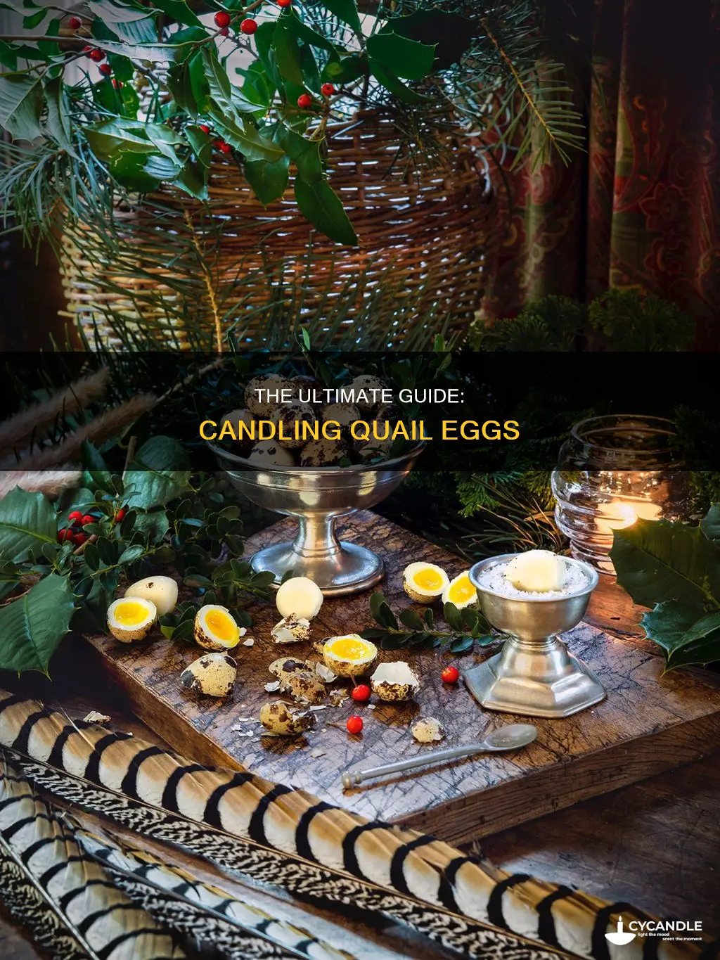 when to candle quail eggs