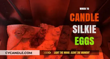 Candling Silkie Eggs: The Perfect Timing Guide