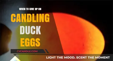 Knowing When to Stop Candling Duck Eggs