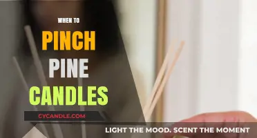 Spring Gardening: Pine Candles Pinching Time