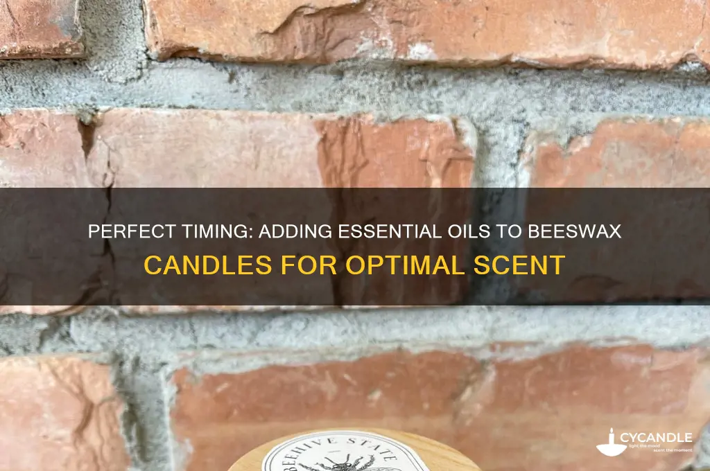 when to put essential oils in beeswax candle