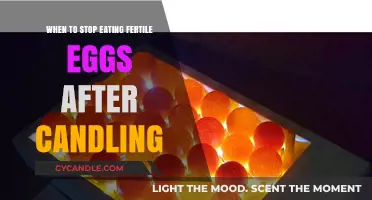 Fertile Eggs: When to Stop Eating After Candling