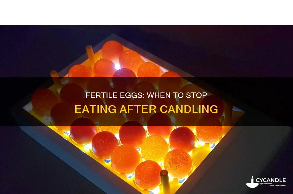 when to stop eating fertile eggs after candling