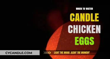 The Ultimate Guide to Watering Candle Chicken Eggs
