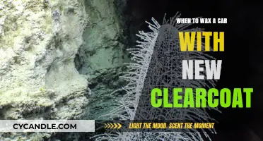 Revitalize Your Ride: The Perfect Time to Wax a New Clear Coat Car