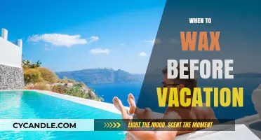 Pre-Vacation Waxing: Timing Your Beauty Prep Perfectly