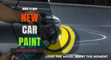 Optimal Timing for Waxing Your New Car's Paint: A Comprehensive Guide