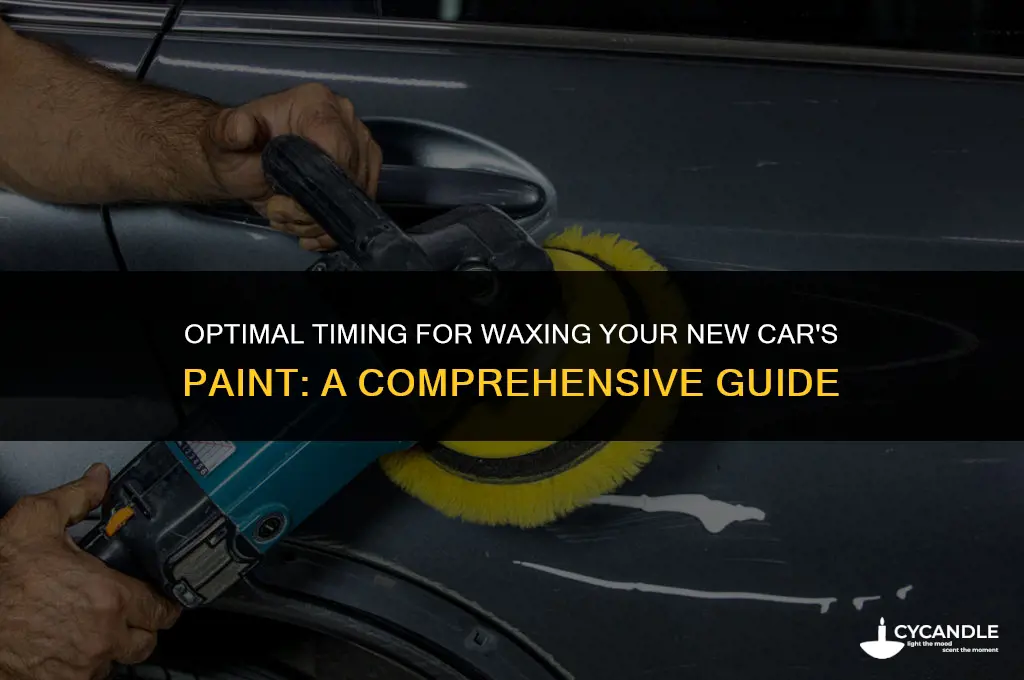 when to wax new car paint