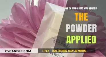 Soft Waxing 101: The Perfect Timing for Powder Application