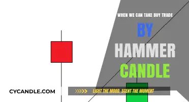 Mastering Buy Trades: Hammer Candle Signals and Timing Explained