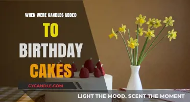 Candles on Birthday Cakes: A History of Light and Celebration