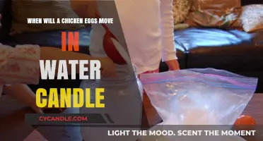 Floating Eggs: Science Behind the Magic