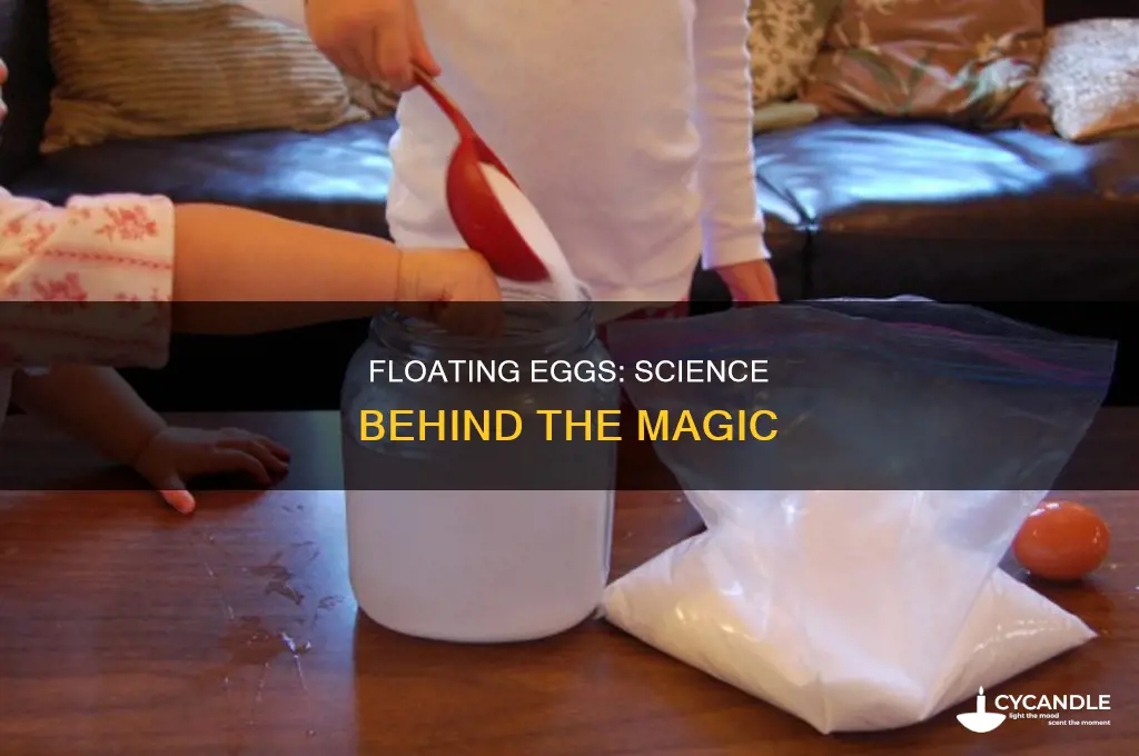 when will a chicken eggs move in water candle