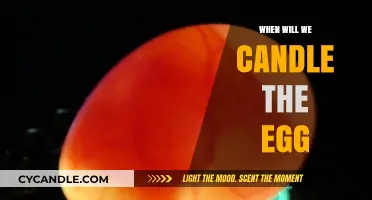 The Egg-citing Question: When to Candle?