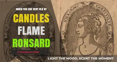 The Beauty of Age in Ronsard's Poetry