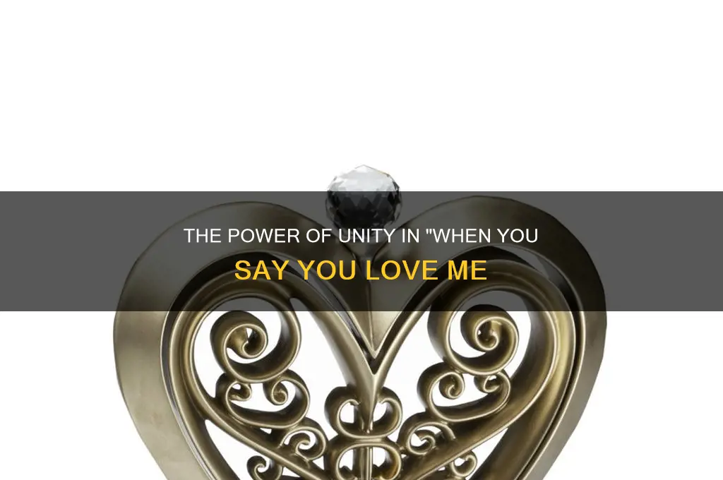 when you say you love me unity candle
