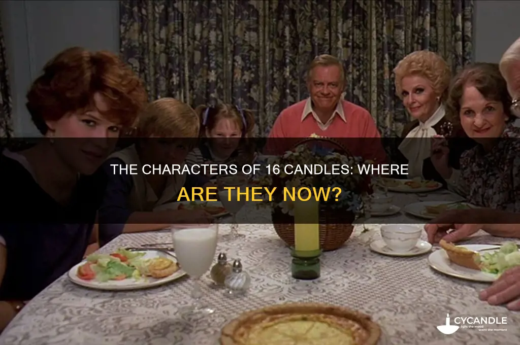 where are the characters of 16 candles