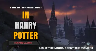 Enchanting Floating Candles of Hogwarts: A Magical Tour