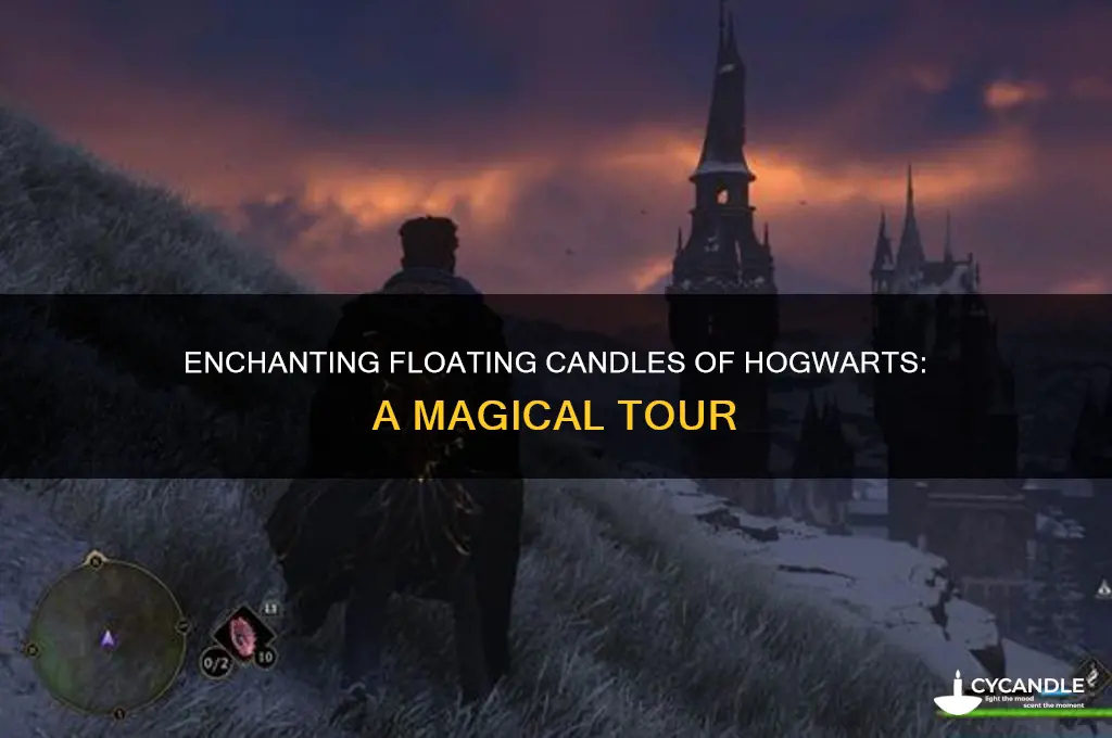 where are the floating candles in harry potter