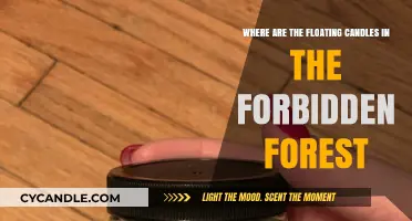 Exploring the Mystery of Floating Candles in the Forbidden Forest