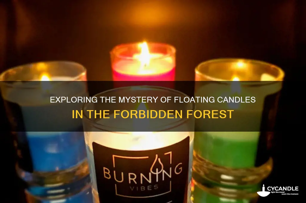 where are the floating candles in the forbidden forest