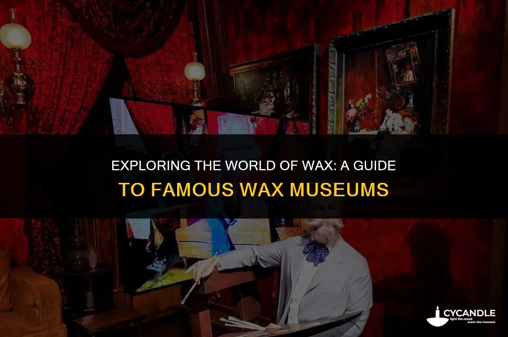 where are wax museums located