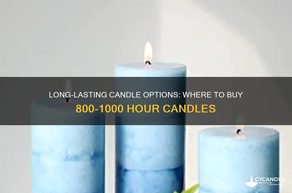 where can i buy 800 to 1000 hour candles
