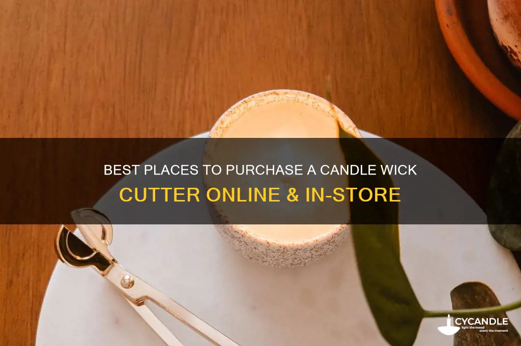 where can i buy a candle wick cutter