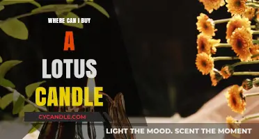 Discover the Best Places to Purchase Lotus Candles Online
