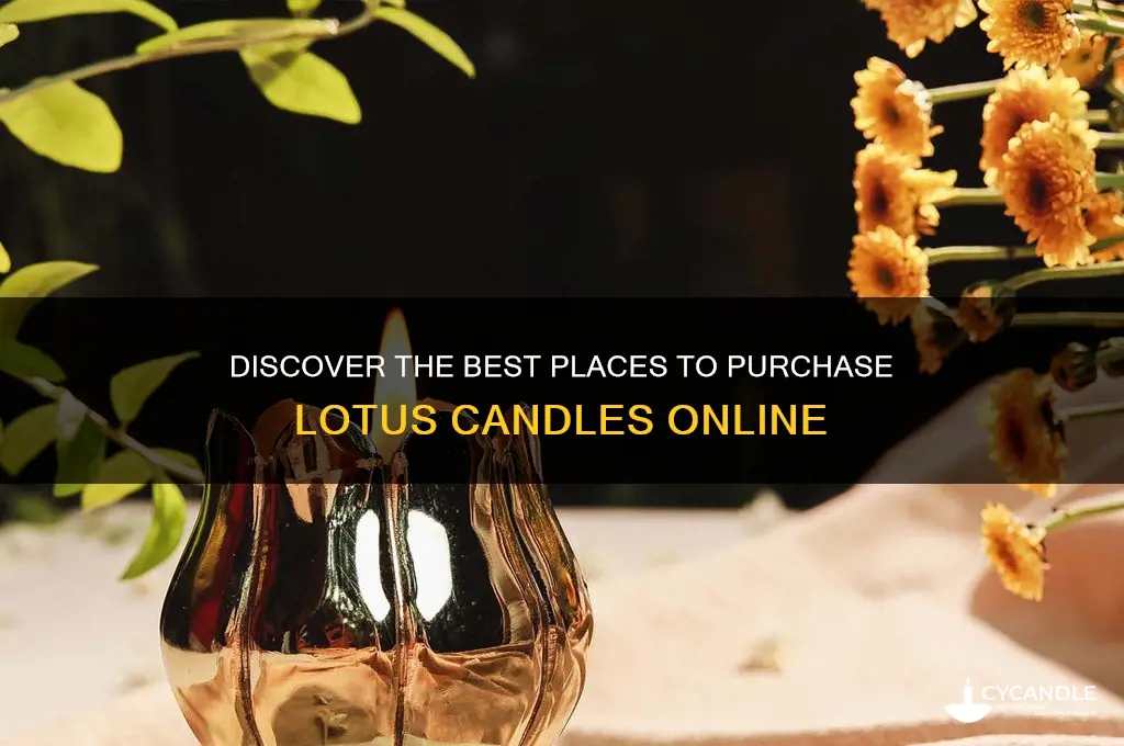 where can i buy a lotus candle