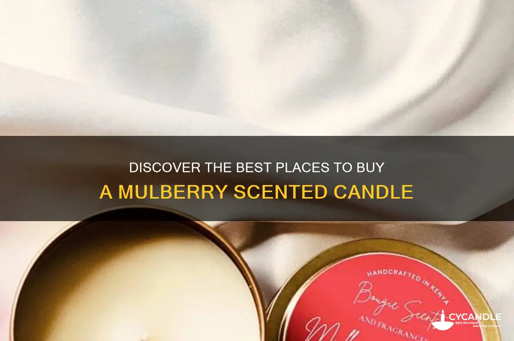 where can i buy a mulberry candle