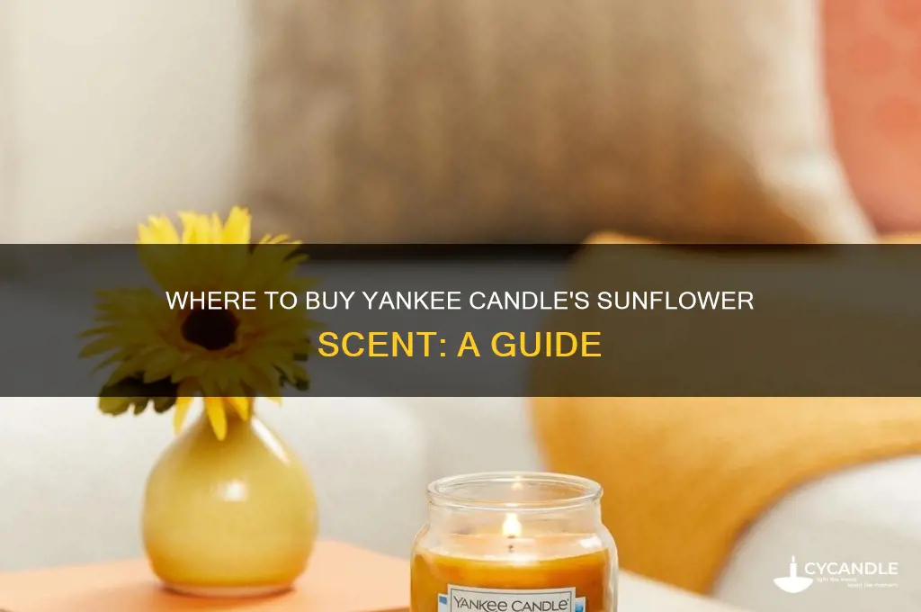 where can i buy a yankee candle called sunflower