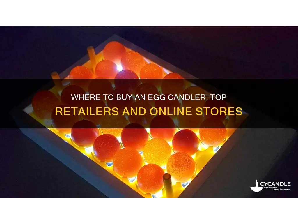 where can i buy an egg candler