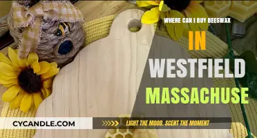 Where to Buy Beeswax in Westfield, Massachusetts: Local Sources Guide