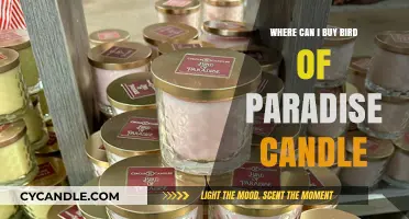 Discover the Best Places to Buy Bird of Paradise Candles