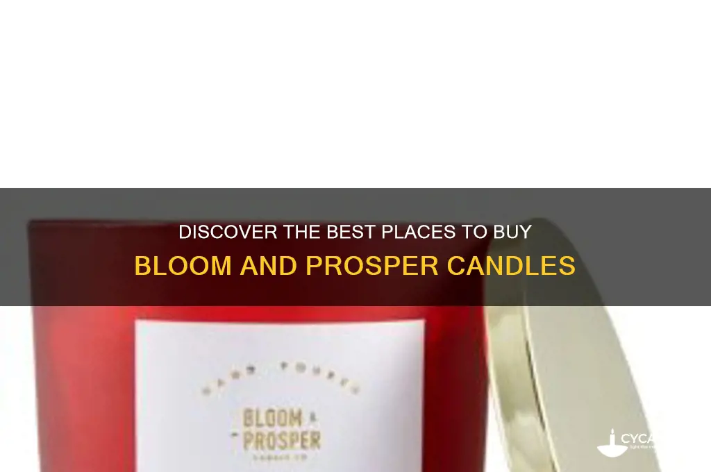 where can i buy bloom and prosper candles