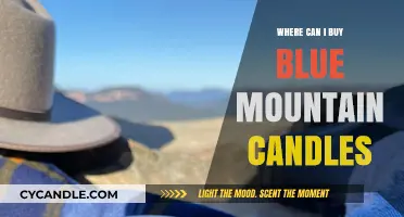 Discover the Best Places to Buy Blue Mountain Candles Online