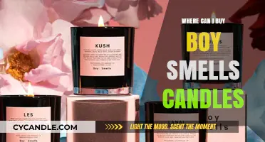 Where to Buy Boy Smells Candles: Top Retailers and Online Stores