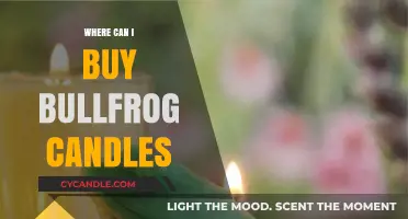 Discover the Best Places to Buy Bullfrog Candles Online